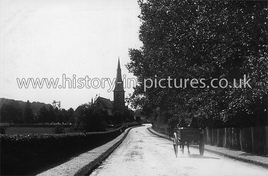 New Road, Mistley, Essex. c.1905